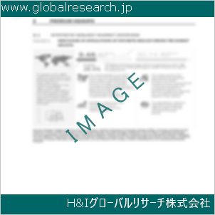 グローバルリサーチ調査資料のイメージ